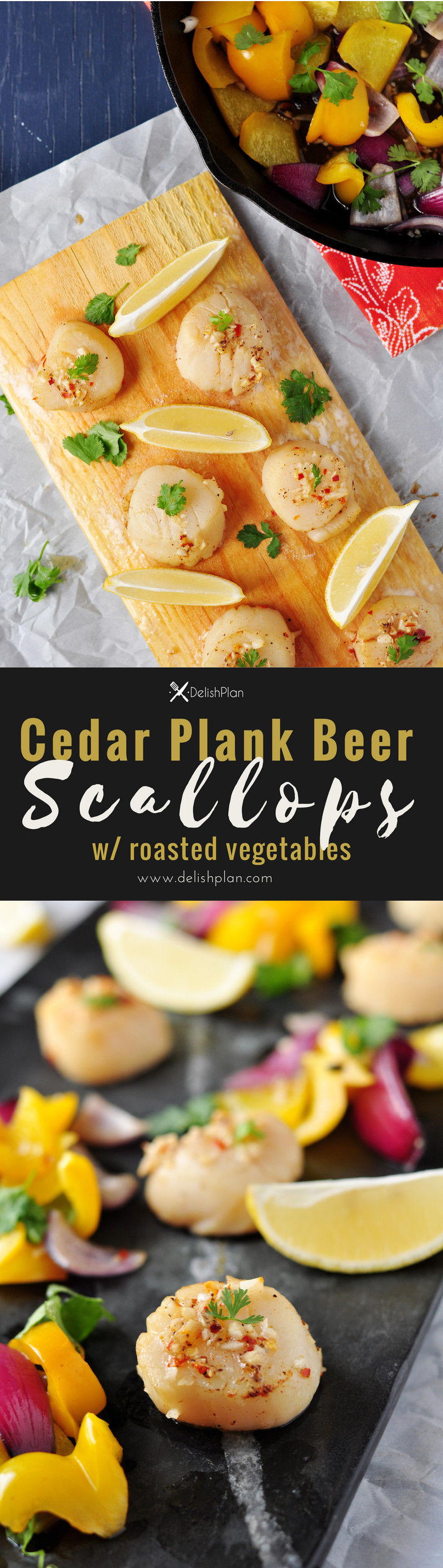 Marinated scallops baked/grilled on a cedar plank that's soaked in beer along with vegetables, these cedar plank beer scallops make a great low-carb meal.
