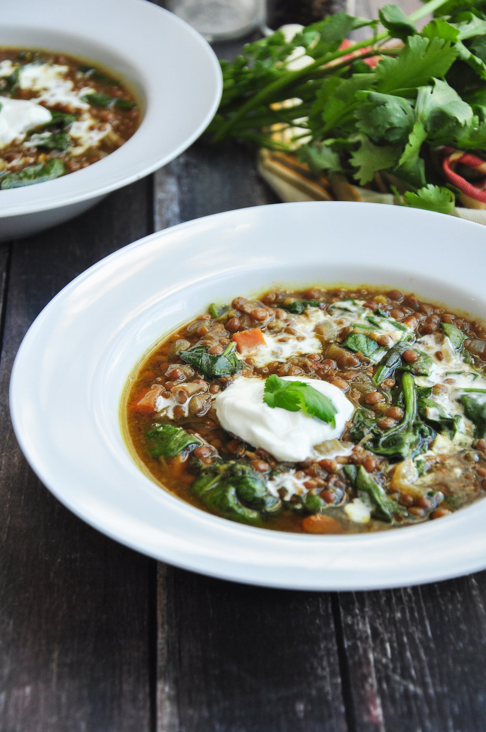 Curried Lentil Spinach Soup