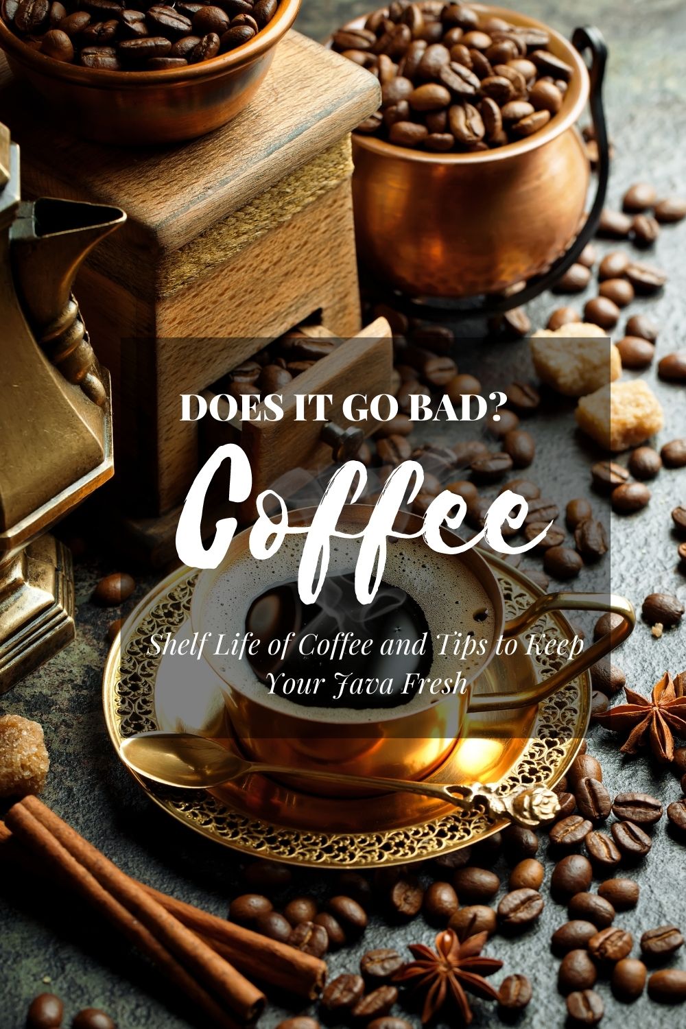 Does Coffee Go Bad? Shelf Life of Coffee and Tips to Keep Your Java Fresh