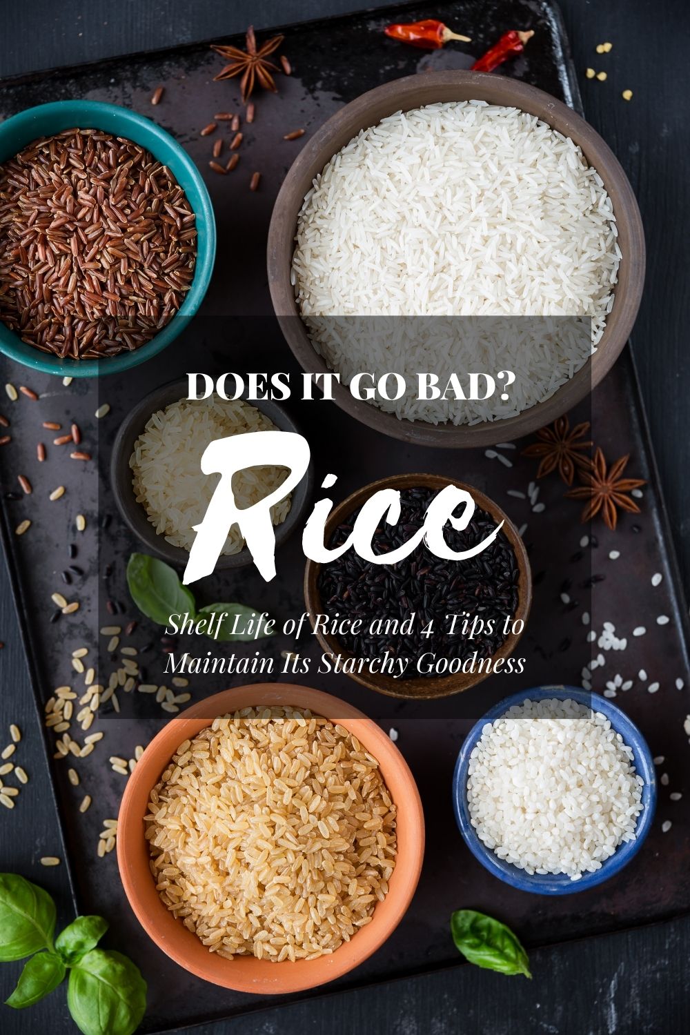 Does Rice Go Bad? Shelf Life of Rice and 4 Tips to Maintain Its Starchy Goodness