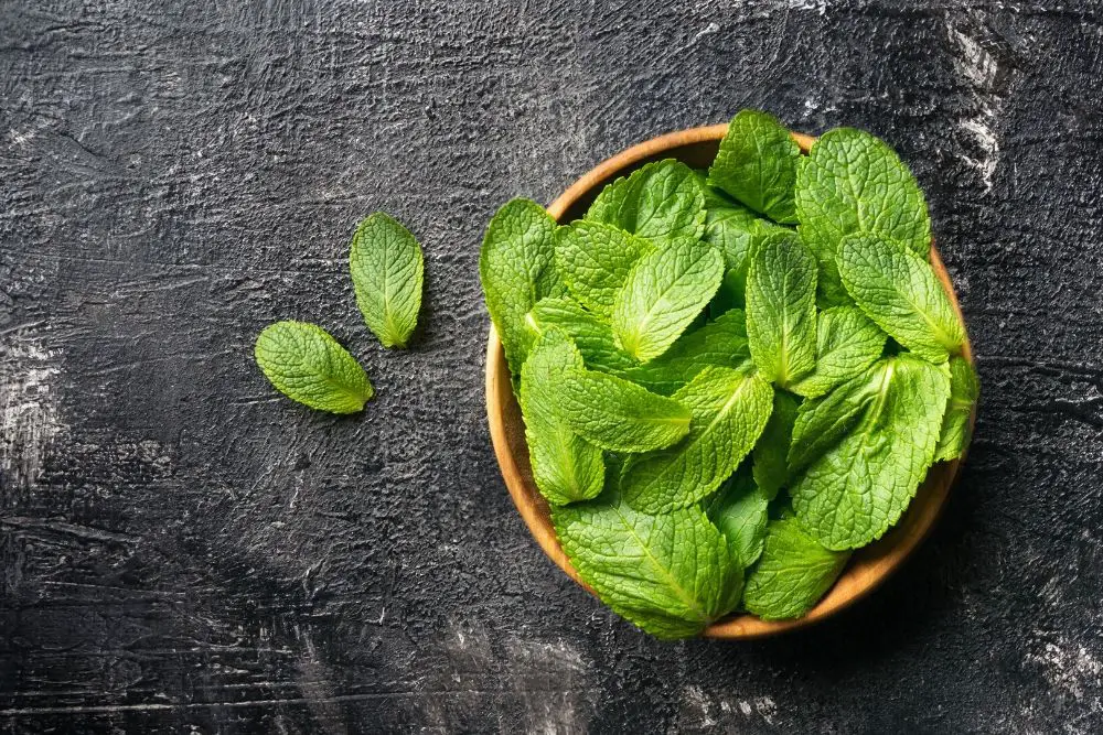 Fresh Mint Leaves