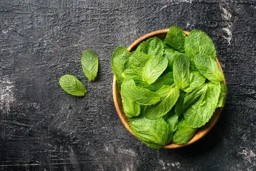 How to Store Fresh Mint (and Make Your Fresh Herbs Last Longer)