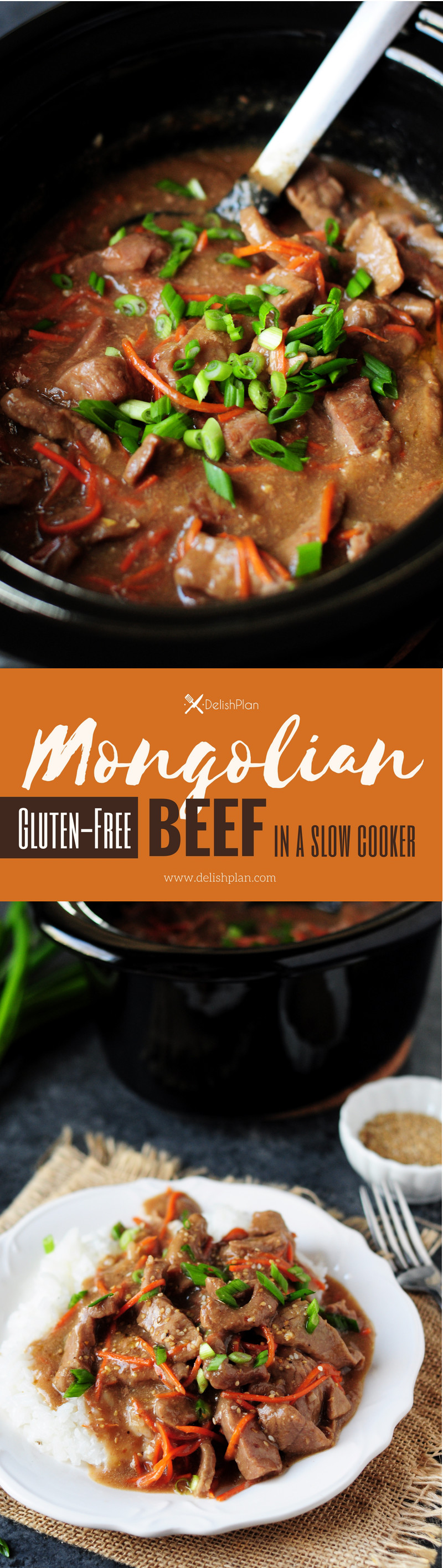 Mongolian beef recipe made gluten free in a slow cooker! This is a perfect recipe for slow cooker beginners or for those who just want a simple dump meal.