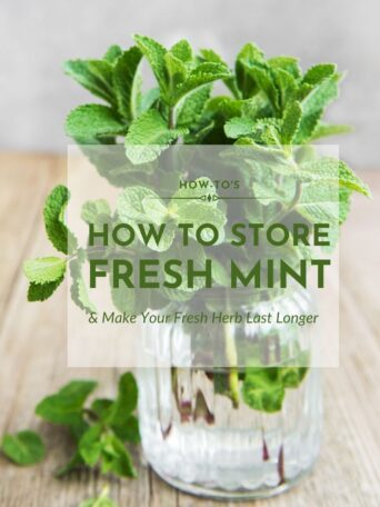 How to Store Fresh Mint (And Make Your Fresh Herbs Last Longer)