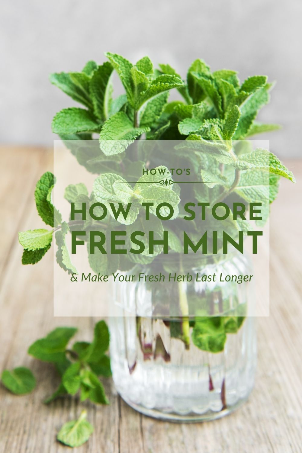 How to Store Fresh Mint (And Make Your Fresh Herbs Last Longer)