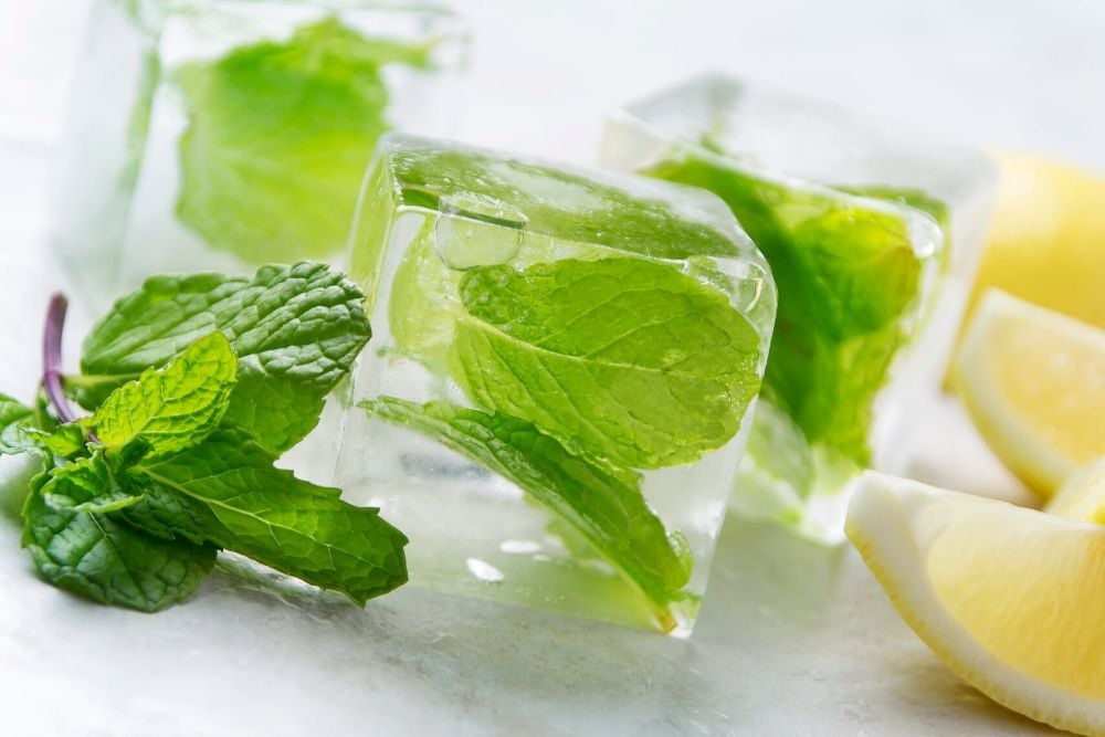 How to Store Fresh Mint (and Make Your Fresh Herbs Last Longer)