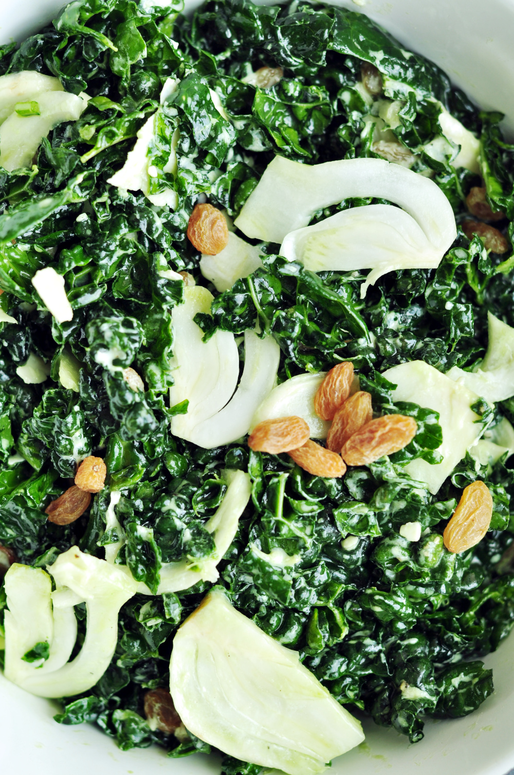Kale Fennel Salad with a creamy garlic yogurt sauce, crisp fennel, sweet raisins, and shaved Parmesan — a flavor-packed salad ready in 15 minutes.