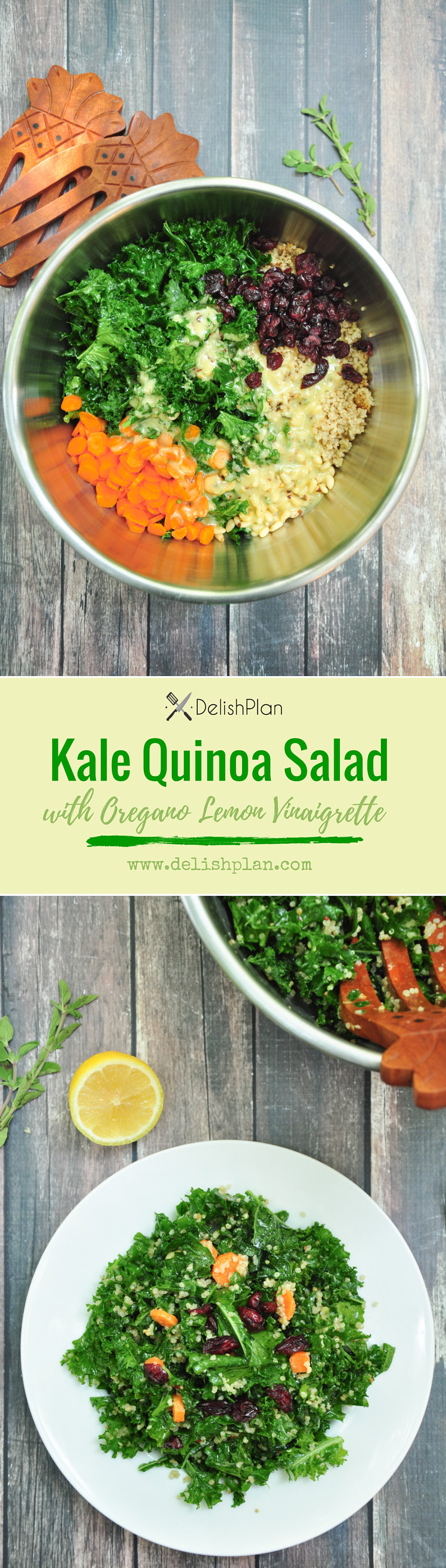 Kale, quinoa, carrots, pine nuts and dried cranberries tossed in a delightful oregano lemon vinaigrette. This Kale Quinoa Salad is gluten free and vegan.