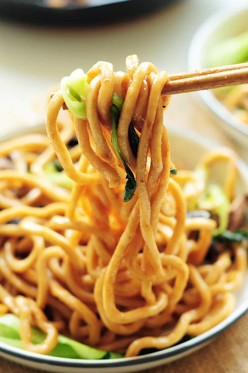 These pan-fried Shanghai noodles are perfect when all you want is to slurp some noodles. They're 100% vegan and require only 6 ingredients & 20 mins.