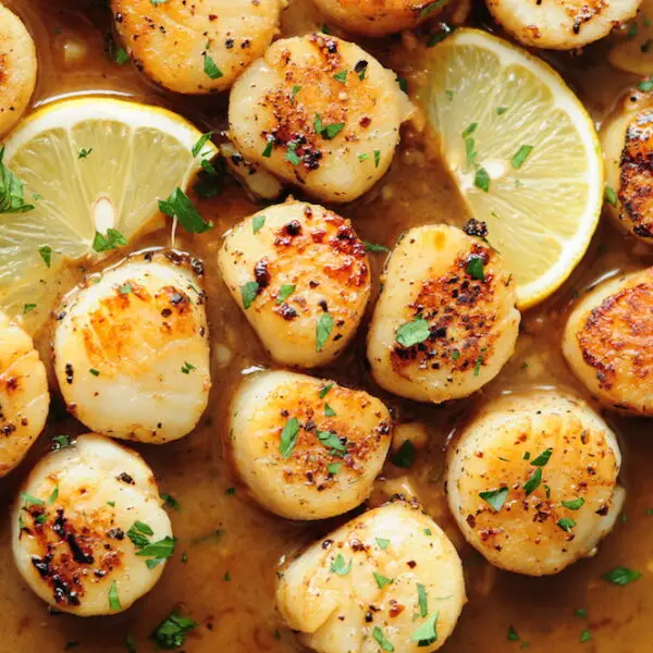 Perfectly pan-seared scallops served with a lemon butter sauce... this scallop recipe is the easiest gourmet dish you can make on a weeknight in just 15 minutes.