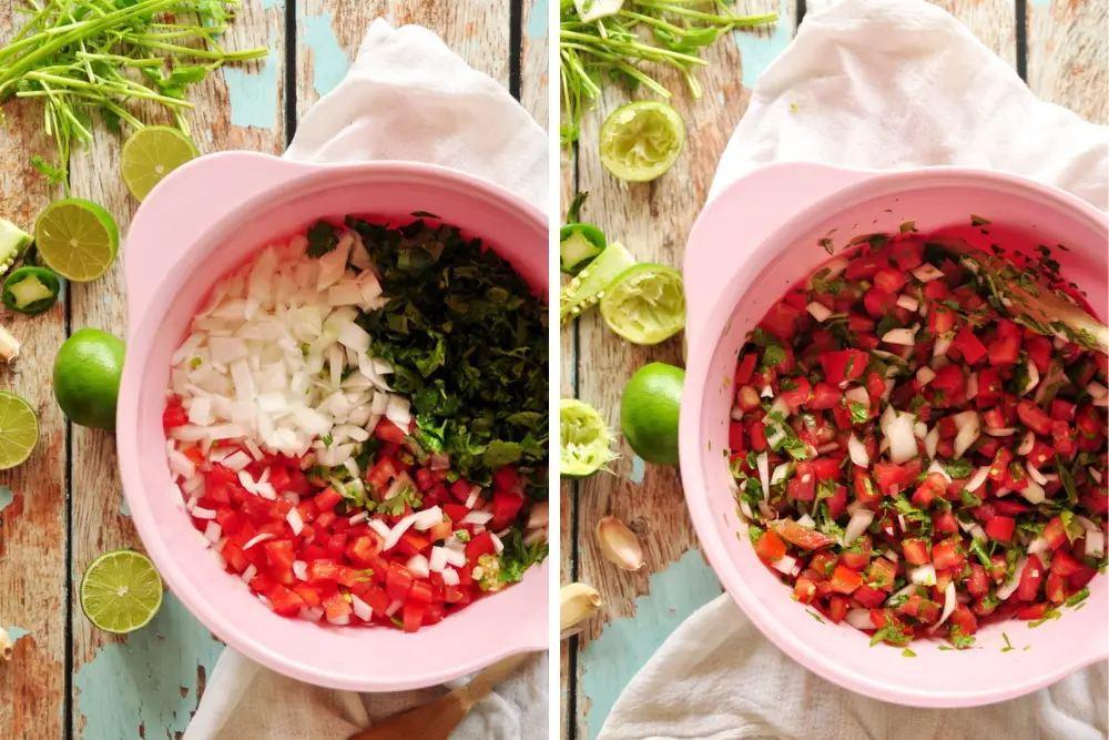 Pico de Gallo Recipe - Process
