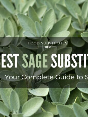 8 Best Sage Substitutes