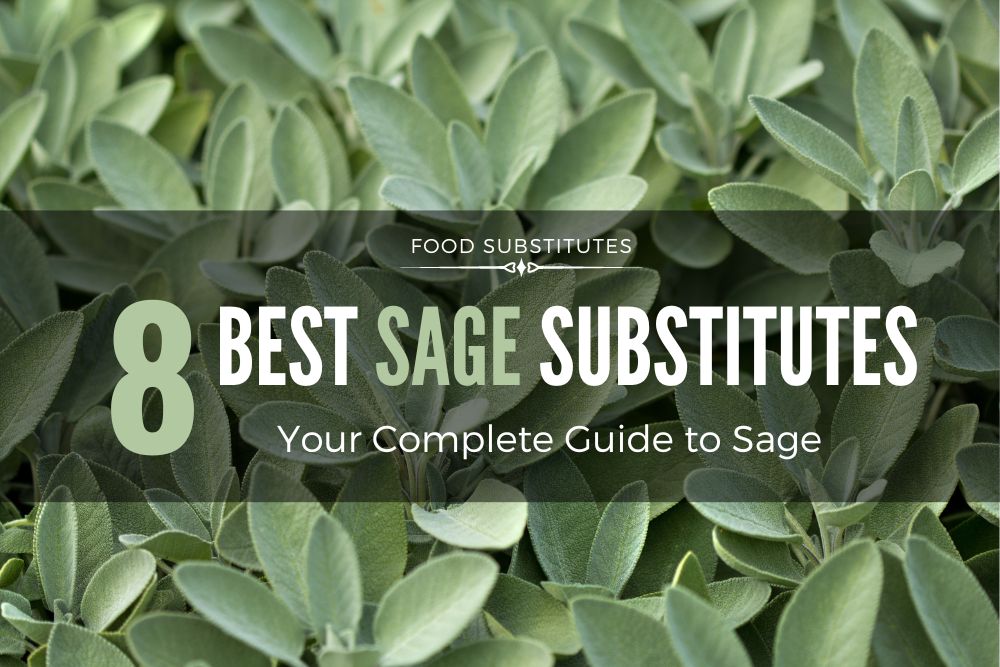 8 Best Sage Substitute Options Your Complete Guide to Sage