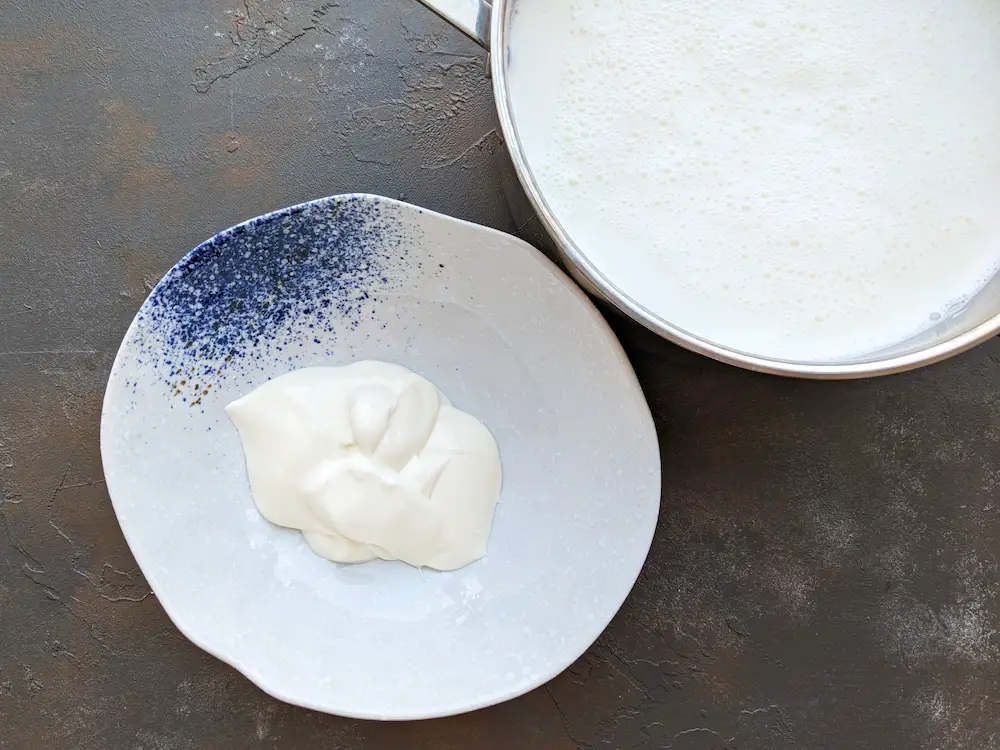 Master Sous Vide Yogurt in Six Steps - Step 3: Add Live Cultures