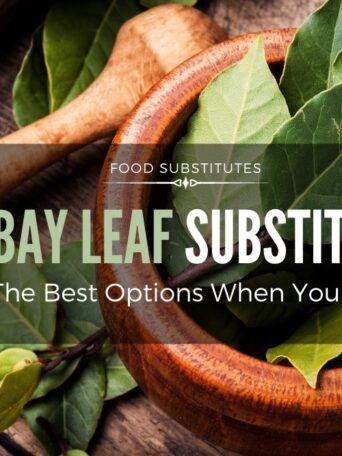 The Best Bay Leaf Substitute (5 Options)