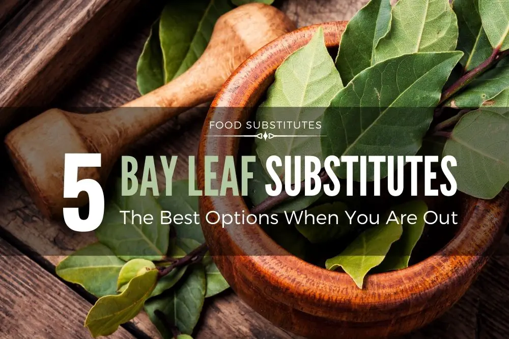 The Best Bay Leaf Substitute (5 Options)