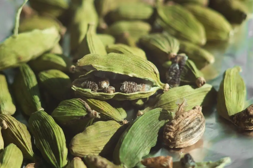 green cardamom