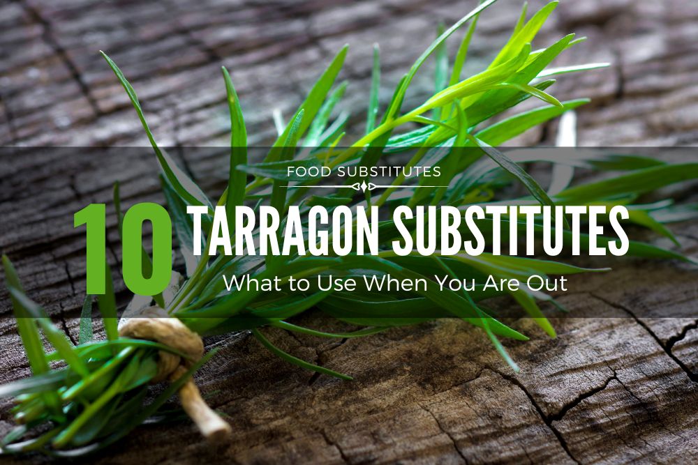 10 tarragon substitutes